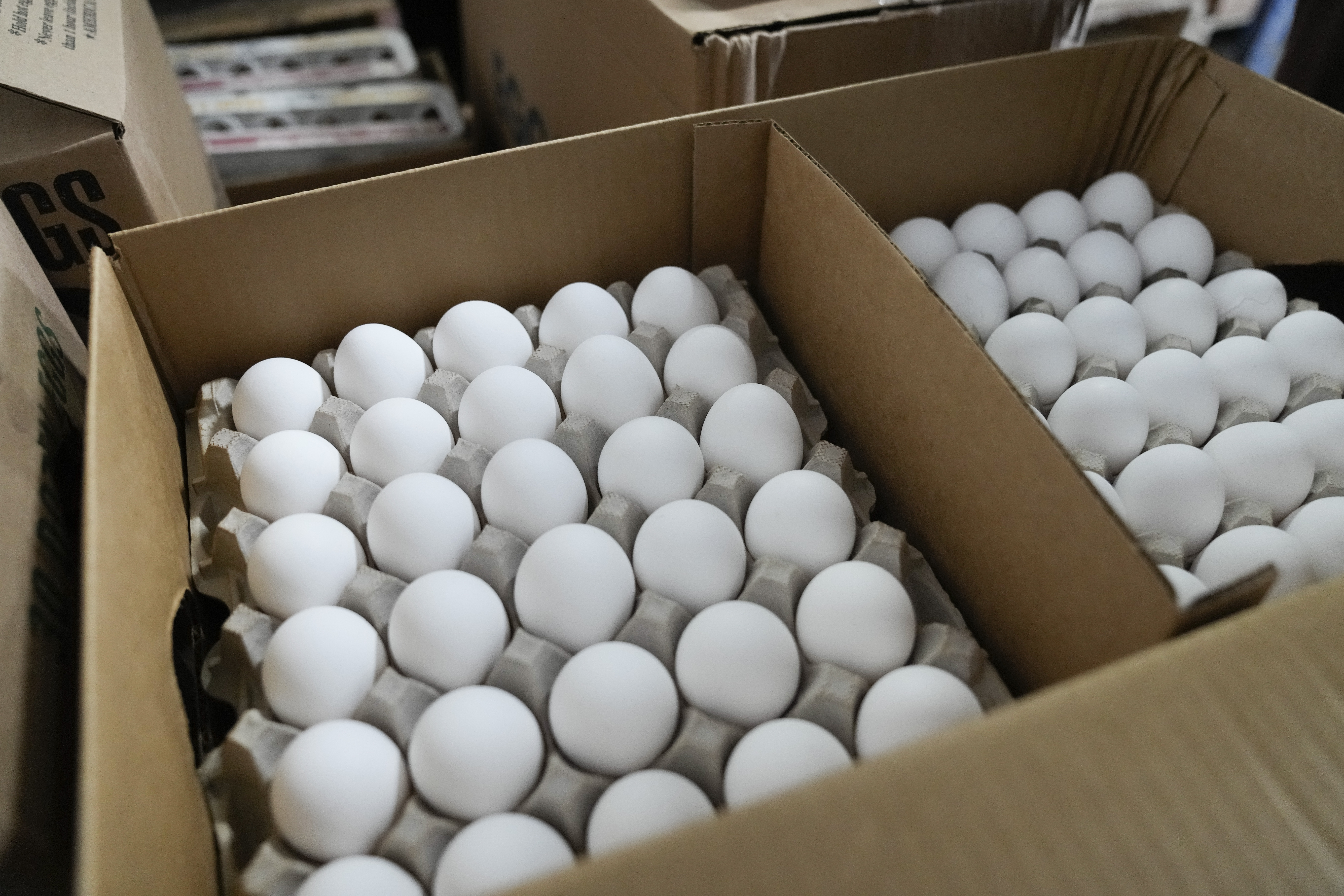 Bird flu, soaring costs cause egg prices to skyrocket