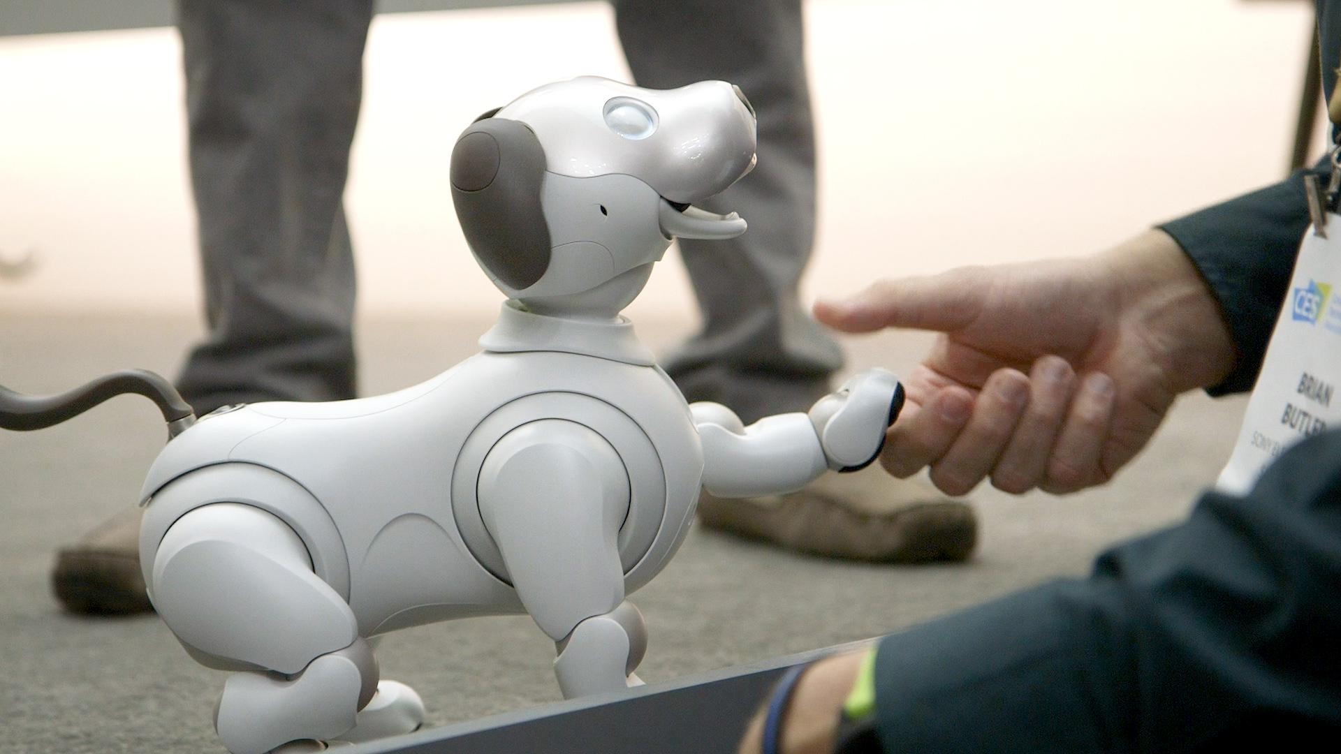Sony's new Aibo is a very good robot dog