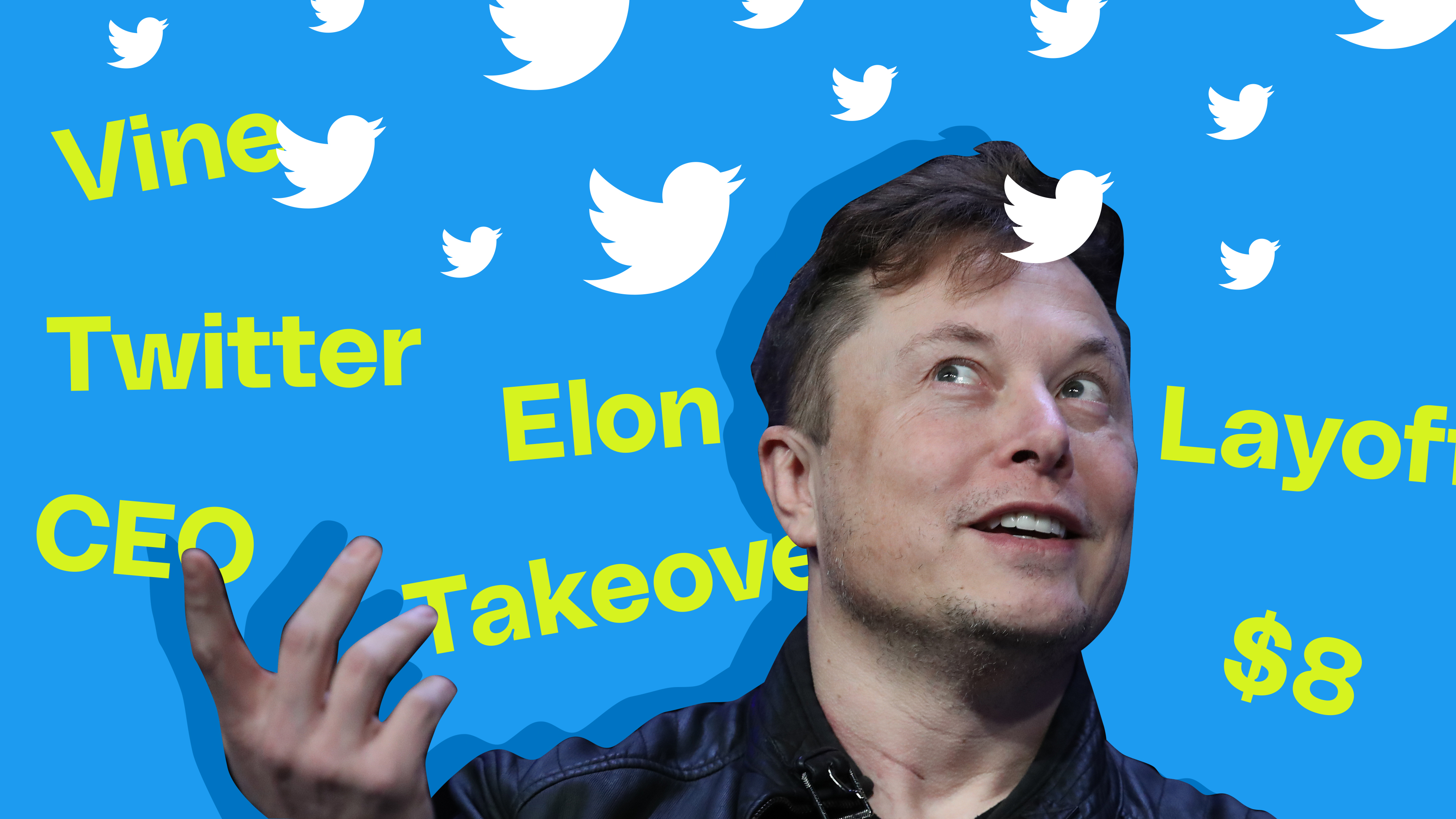 Twitter Verified Check Mark Meme (Elon Musk) 8$ Price Tag